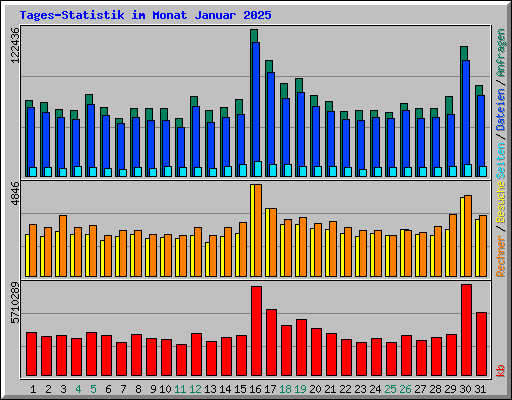 Tages-Statistik im Monat Januar 2025