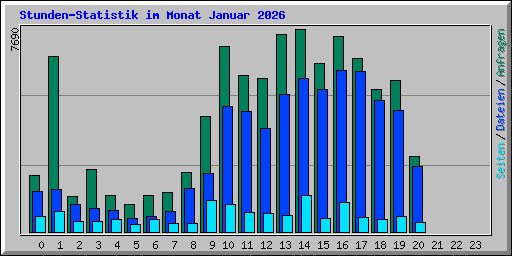 Stunden-Statistik im Monat Januar 2026